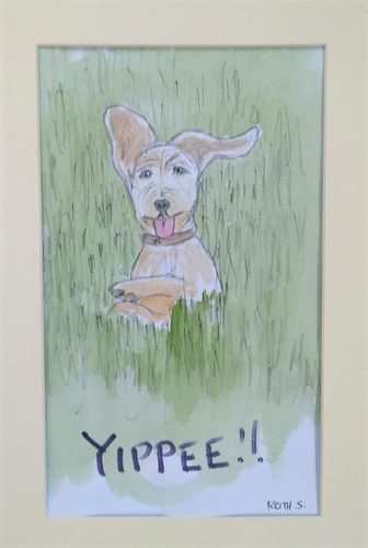 Keith.  Puppy in springtime. Pen and watercolour.